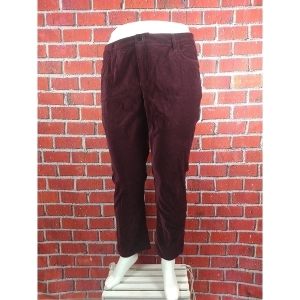 Lauren Ralph Lauren Velour Pants